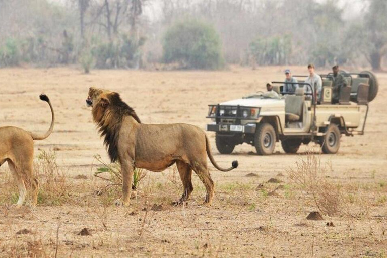 Hurghada: tour in Egitto di 10 giorni, crociera sul Nilo, mongolfiera, voliHurghada: tour di 10 giorni in Egitto, crociera sul Nilo, mongolfiera, voli