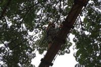 Iquitos, Full Day Extreme Adventure - Hizvo