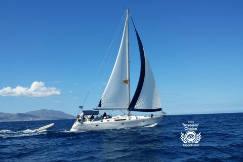 Mykonos: Rhenia Cruise and Delos Guided Tour with Transfers