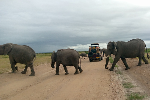 Safari de 3 días y 2 noches por Amboseli.Excursión de safari de 3 días y 2 noches a Amboseli.