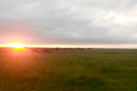 Safari de 3 días y 2 noches por Amboseli.Excursión de safari de 3 días y 2 noches a Amboseli.