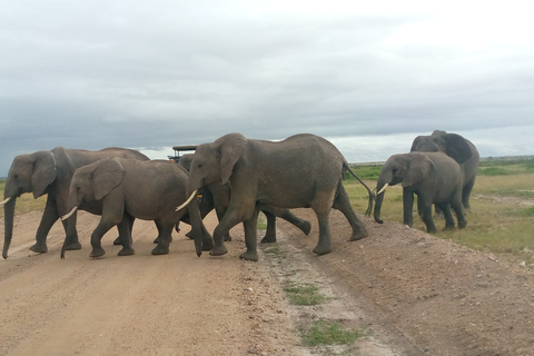 Safari de 3 días y 2 noches por Amboseli.Excursión de safari de 3 días y 2 noches a Amboseli.