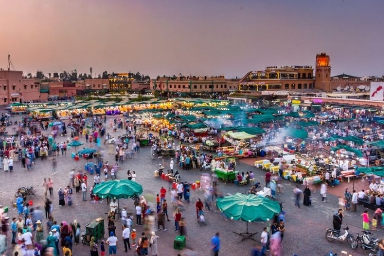 From Agadir: Marrakech Guided Day Trip Exclusive Private Experience