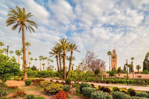 From Agadir: Marrakech Guided Day Trip Exclusive Private Experience