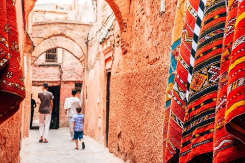 From Agadir: Marrakech Guided Day Trip Exclusive Private Experience
