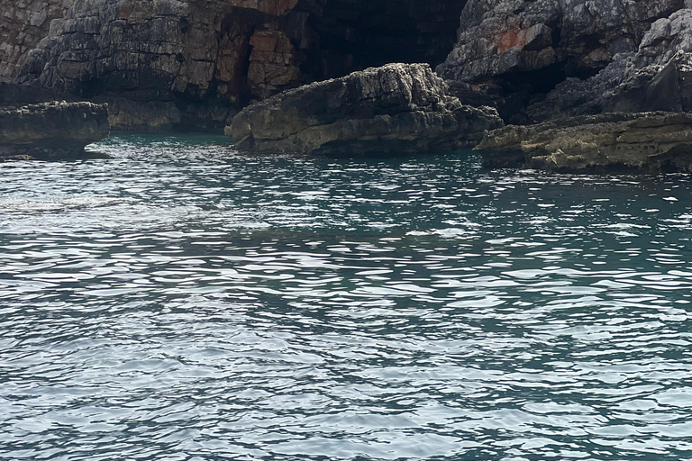 Azure Paradise : visite en bateau de la grotte bleue et de la baie de Kotor