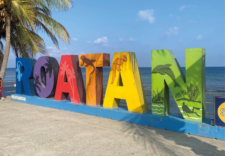 Roatan Best Tour and Views | GetYourGuide