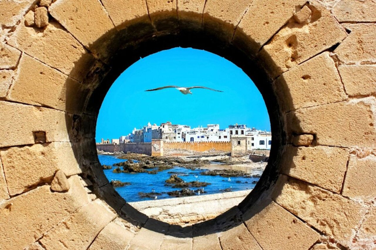 From Agadir : Day in Essaouira with Transfer Shared Group Experience