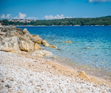 Pula: National Park Brijuni Cruise with Lunch and Drinks