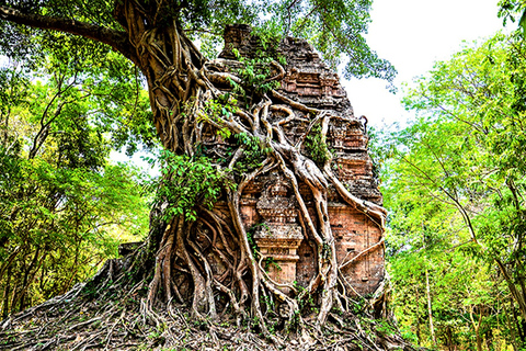 Preah Khan Kampong Svay, Sambor Prei Kuk Visita guiada privada