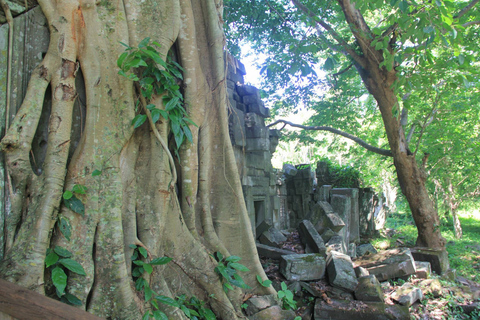 Preah Khan Kampong Svay, Sambor Prei Kuk Visita guiada privada