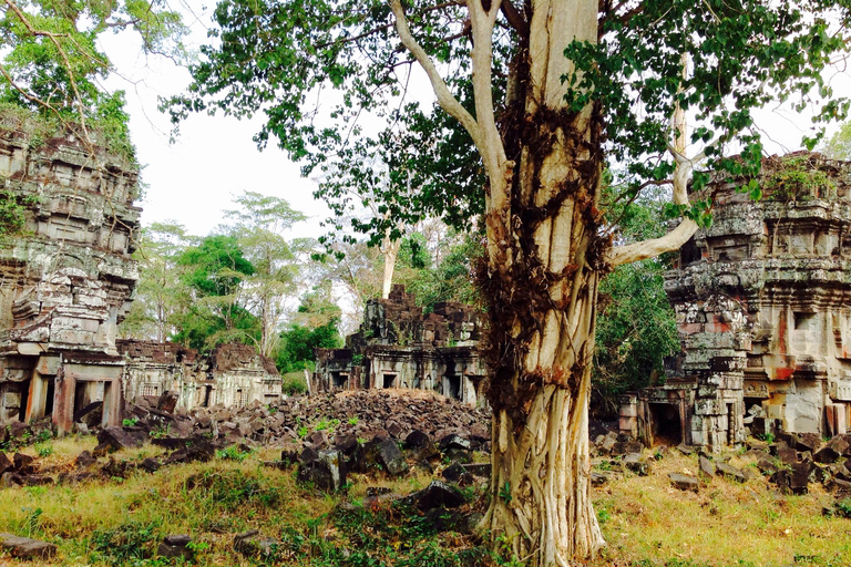 Preah Khan Kampong Svay, Sambor Prei Kuk Visita guiada privada