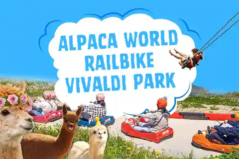 Seoul: Alpaca World, Railbike & Vivaldi Park Experience Tour