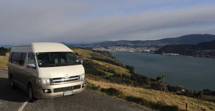 Totul în Dunedin - Turul naturii și al orașului