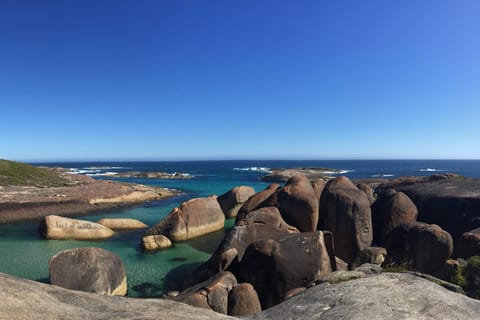 From Perth: Albany, Tree Top Walk & Wave Rock 3-Day Tour