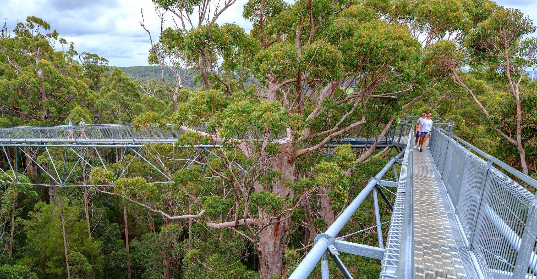 パース、アルバニー、ツリートップウォーク＆ウェーブロック3日間ツアー - Housity