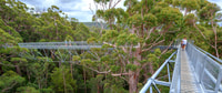 From Perth, Albany, Tree Top Walk & Wave Rock 3-Day Tour - Housity