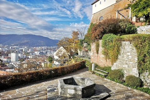 Visita al casco antiguo de Graz con temática de la II Guerra Mundial y el Museo de Graz2 horas: Lugares de la II Guerra Mundial y Casco Antiguo