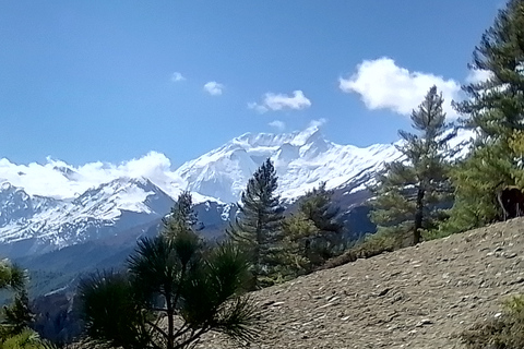 11 nuits 12 jours Trek du circuit de l'Annapurna depuis Pokhara