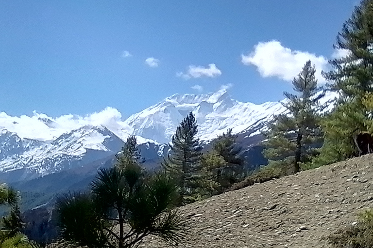 11 nuits 12 jours Trek du circuit de l'Annapurna depuis Pokhara