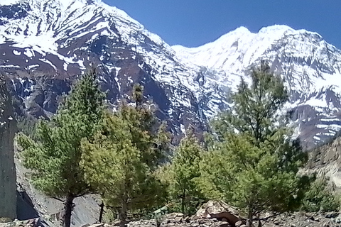 11 nuits 12 jours Trek du circuit de l'Annapurna depuis Pokhara