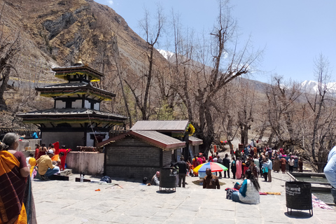 11 nuits 12 jours Trek du circuit de l'Annapurna depuis Pokhara