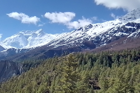 11 nocy 12 dni Annapurna Circuit Trek z Pokhary