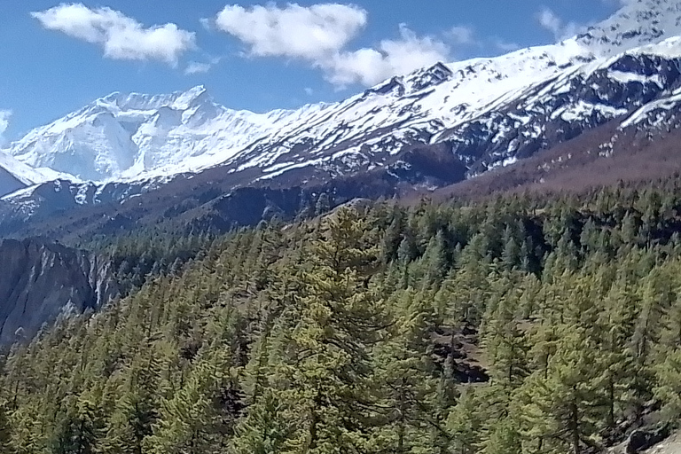 11 nuits 12 jours Trek du circuit de l'Annapurna depuis Pokhara