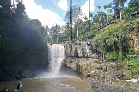 Ubud: Tour particular pela floresta de macacos, templo e cachoeiraPasseio com almoço