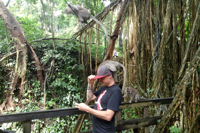 Ubud: Tour particular pela floresta de macacos, templo e cachoeiraPasseio com almoço