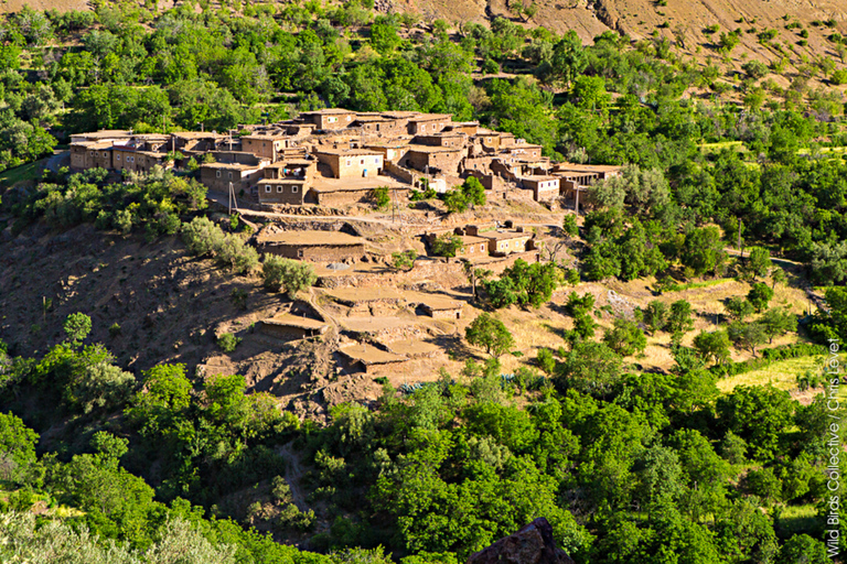 Marrakech: Excursión de 3 días por el Alto Atlas y los Tres Valles