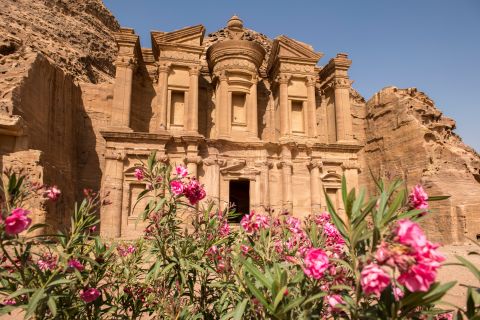 Da Tel Aviv: tour guidato di 3 giorni a Petra e Wadi Rum