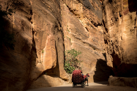 Ab Tel Aviv: Petra und Wadi Rum 3-tägige Tour