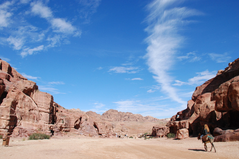 Ab Tel Aviv: Petra und Wadi Rum 3-tägige Tour