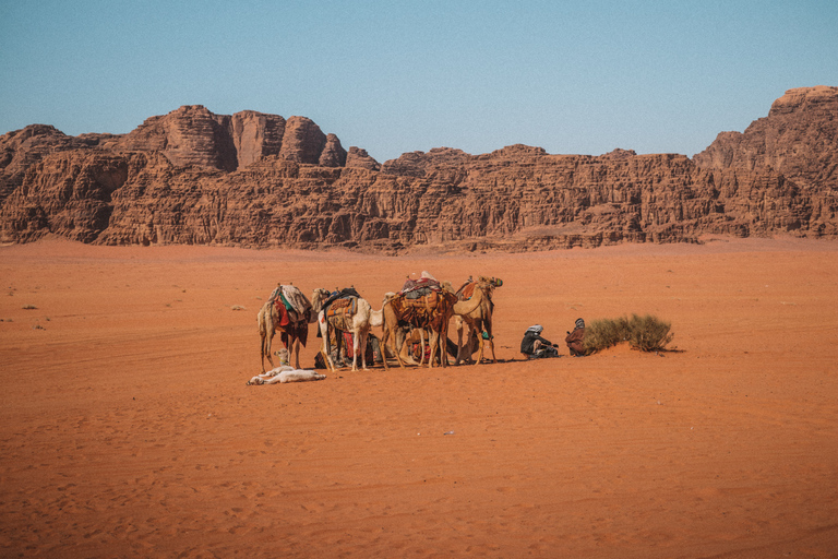 Ab Tel Aviv: Petra und Wadi Rum 3-tägige Tour