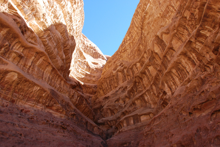 From Tel Aviv: Petra and Wadi Rum 3-Day Tour