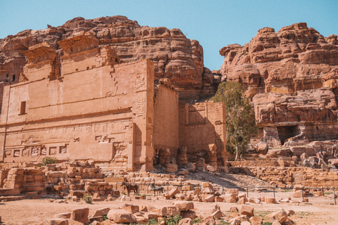 Från Jerusalem: Petra 2-dagars tur från Jerusalem