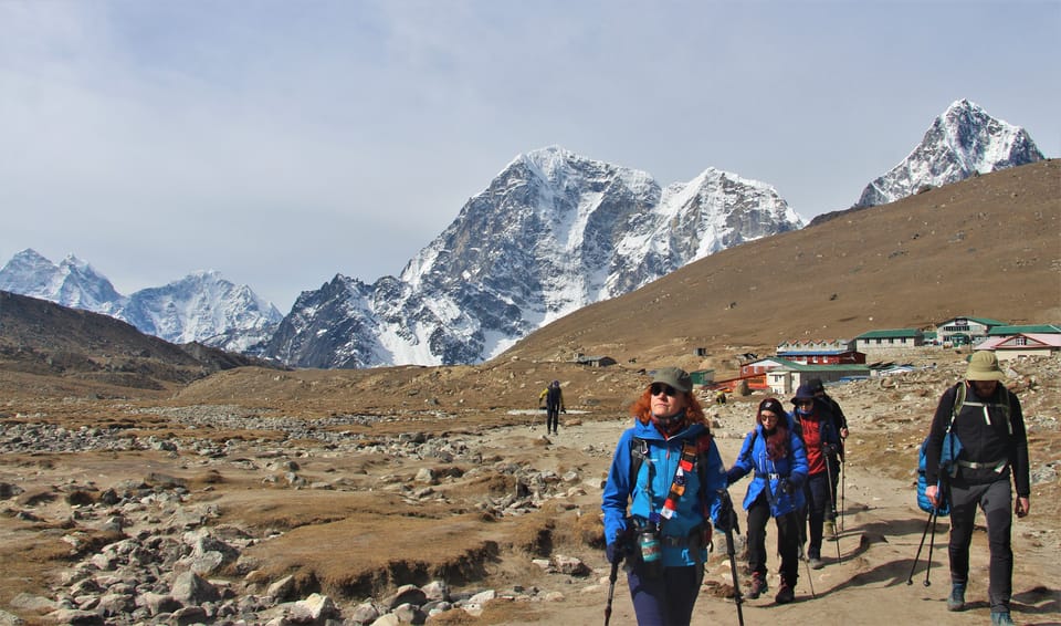 Kathmandu trekking outlet pole