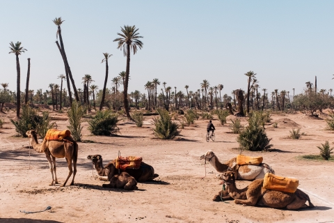 Marrakesz: Wycieczka quadami i wielbłądami z przewodnikiemMarrakesz: wycieczka quadem z przewodnikiem i przejażdżką na wielbłądzie z lunchem