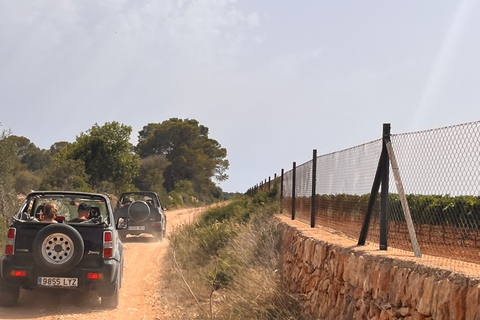 Maiorca: tour self drive in jeepsafari 4x4Maiorca: tour safari in jeep 4x4 in auto