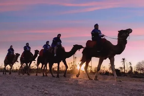 Marrakech Half Day Tour: Camel Ride And Quad Biking