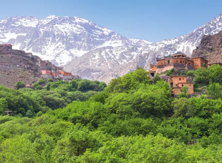 Marrakech : excursion dans les montagnes de l'Atlas, balade à dos de chameau et déjeuner berbère - dromadaire