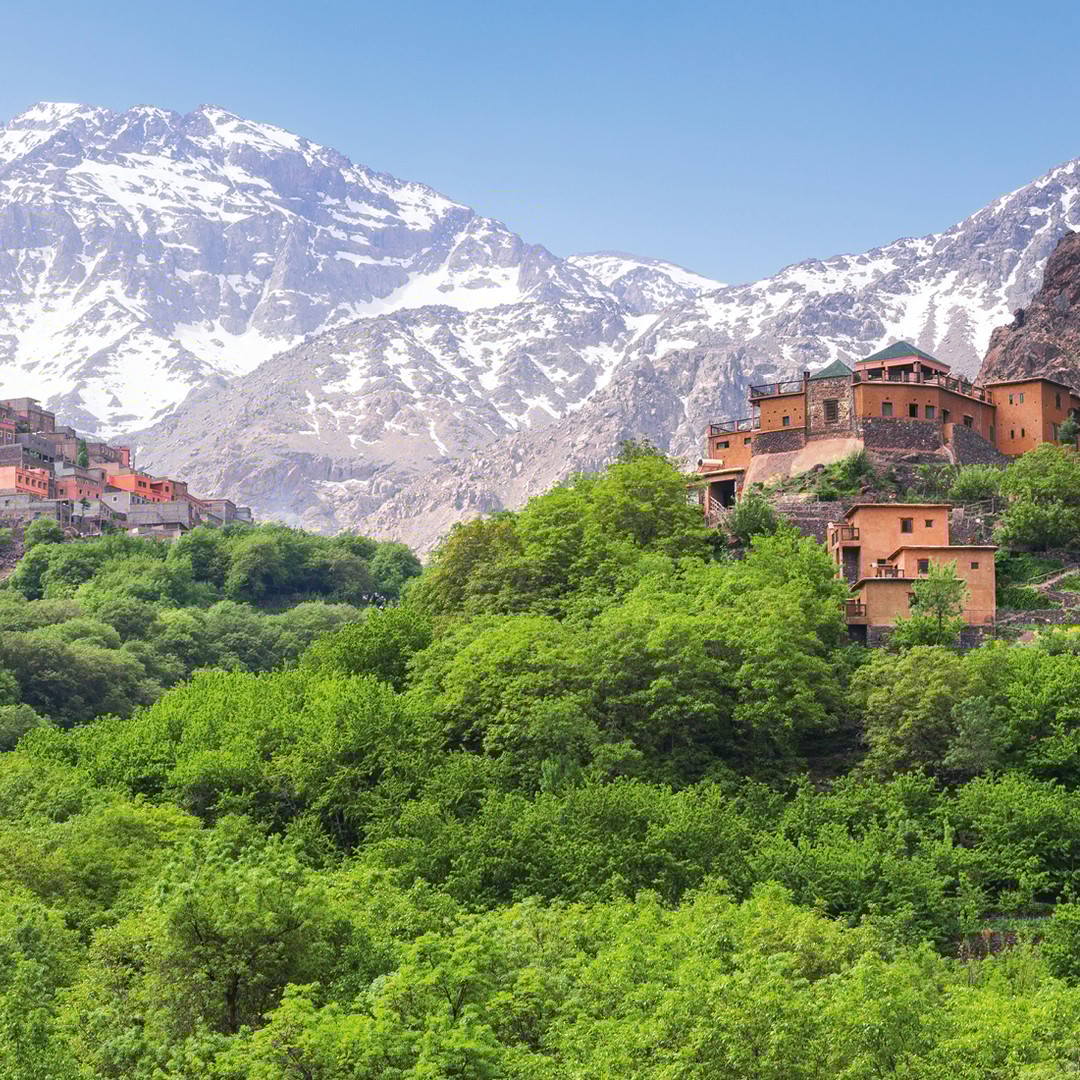 Marrakech : excursion dans les montagnes de l'Atlas, balade à dos de chameau et déjeuner berbère - dromadaire