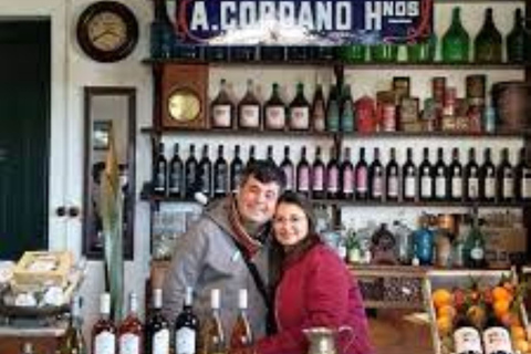 Da Colonia del Sacramento: Tour di degustazione del vino Carmelo