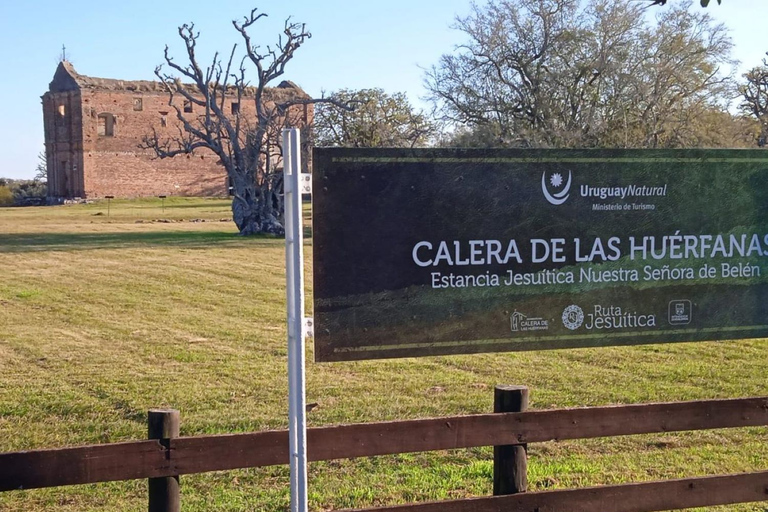 De Colônia do Sacramento: Tour de degustação do vinho Carmelo