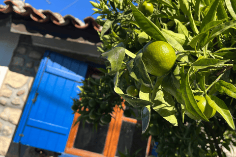 Visite privée des joyaux cachés de la Chalcidique