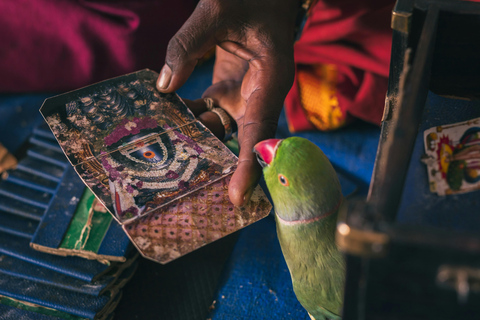 Experiencia Bangalore - Visita vespertina a pie por la ciudad y al mercado