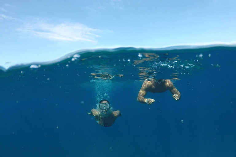 Explore Tenerife com o Kit Snorkelkit de snorkel