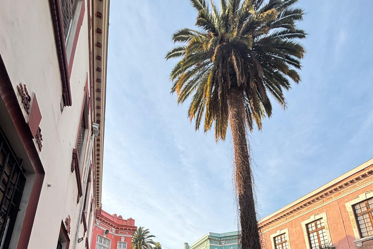 Santiago : Yungay, mémoire, art et visite à pied du quartier