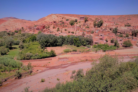 Camel Ride, Anima Garden and atlas Mountains